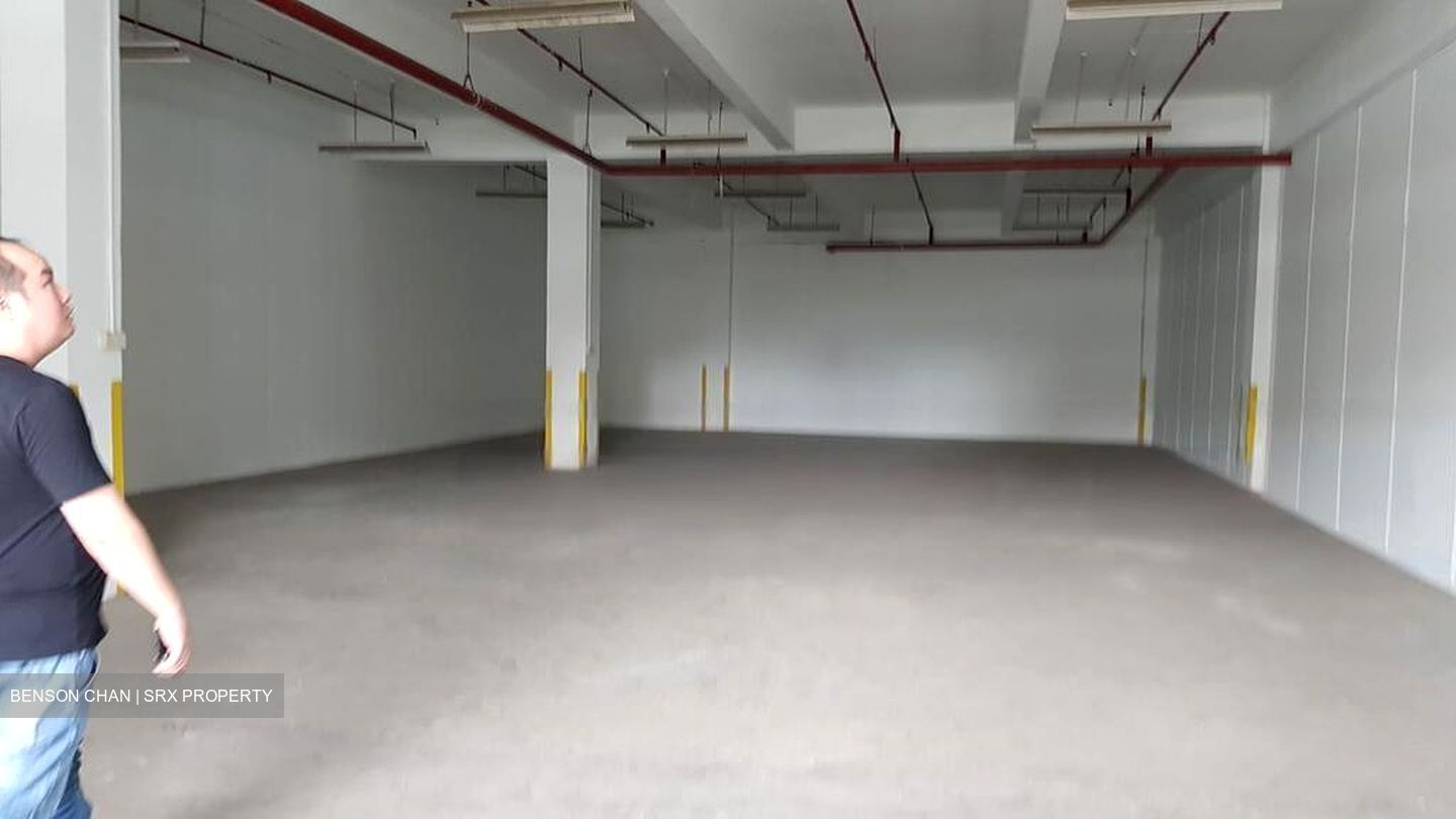 People's Garden (D19), Warehouse #463023331